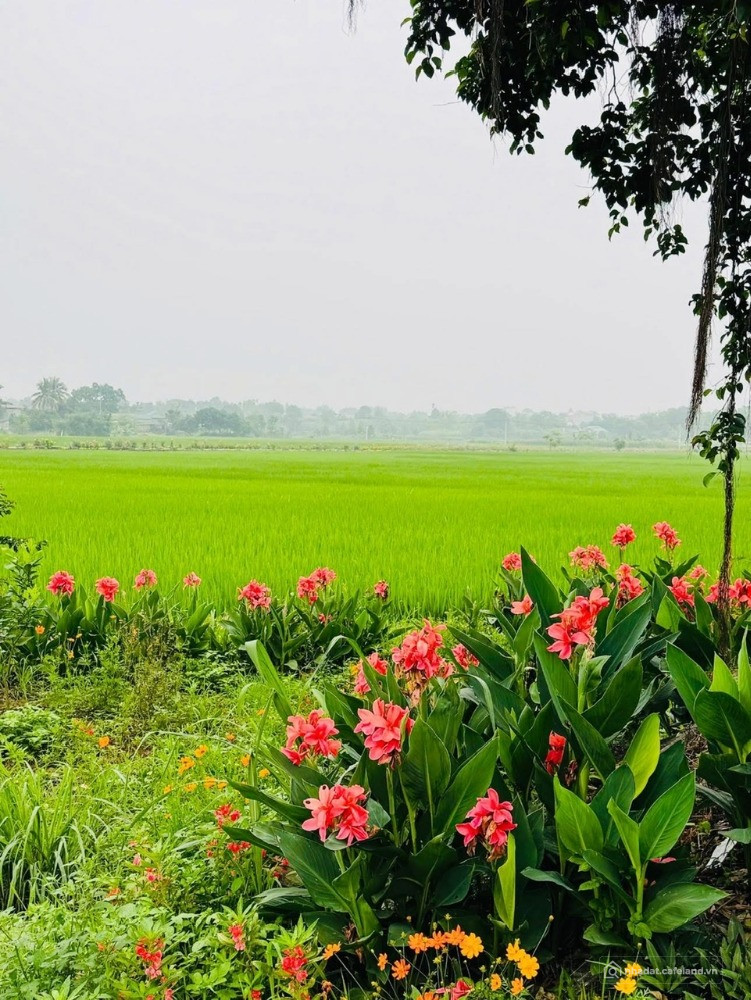 Chính chủ bán lô đất 750m2 mặt đường liên xã tại Lương Sơn Hoà Bình.