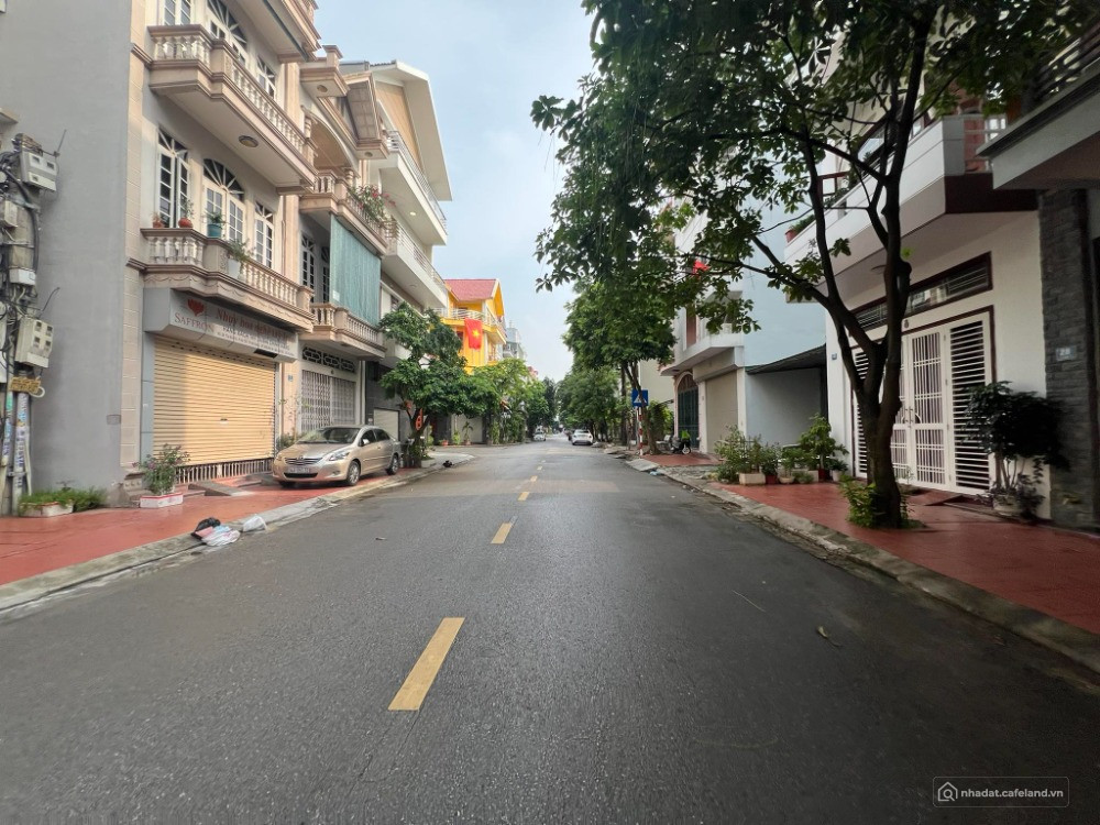 Bán lô đất mặt phố Lê Đình Vũ, Đông Nam Cường, TP HD, 87.75m2, mt 4.5m, vị trí đ