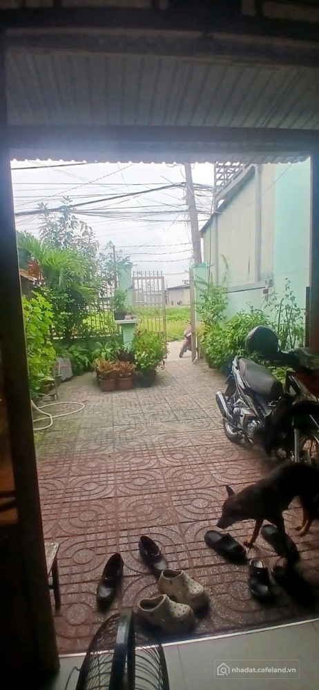 BÁN NHÀ SHR 132M CẤP4 1/TRẦN THỊ BỐC ,THỚI TỨ,THỚI TAM THÔN ,HÓC MÔN