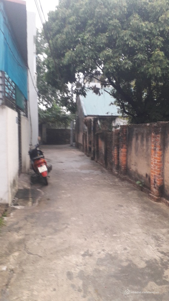 Chính chủ cần bán đất kèm nhà cấp 4 diện tích 53.6m2 tại Thắng Lợi, Thường Tín