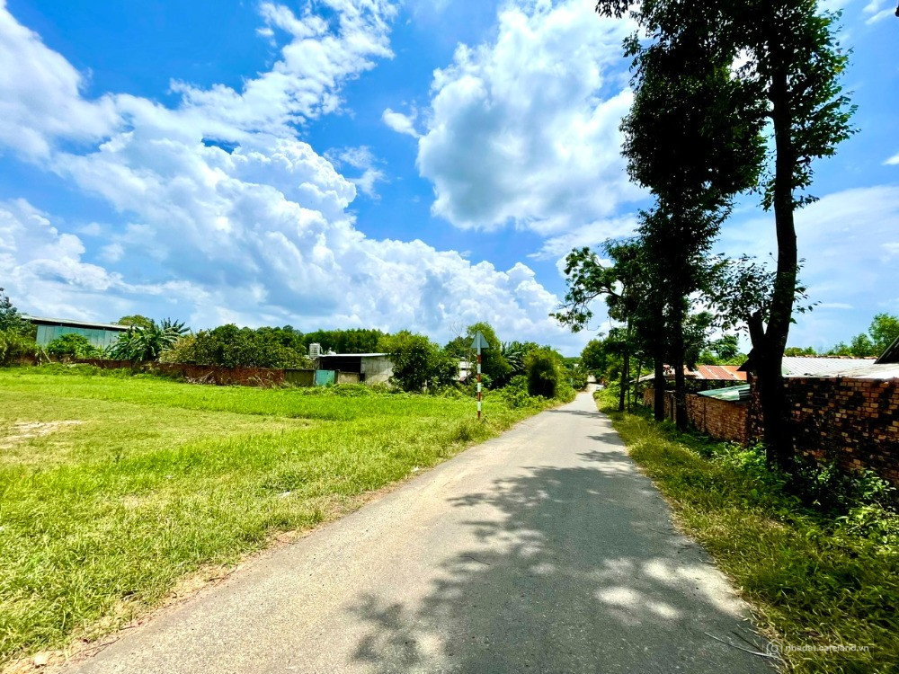 Đất Vàng Tân Hiệp – Vị Trí Sinh Lời Cạnh Sân Bay Long Thành