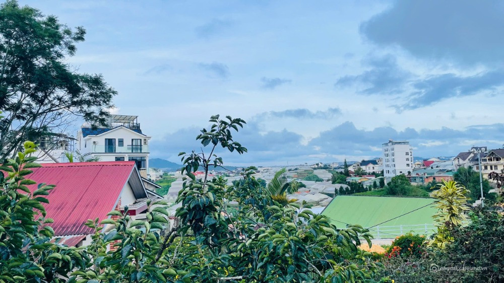 Bán Nhà Phố SHR - HXH - Sân Đậu Xe 7 Chổ