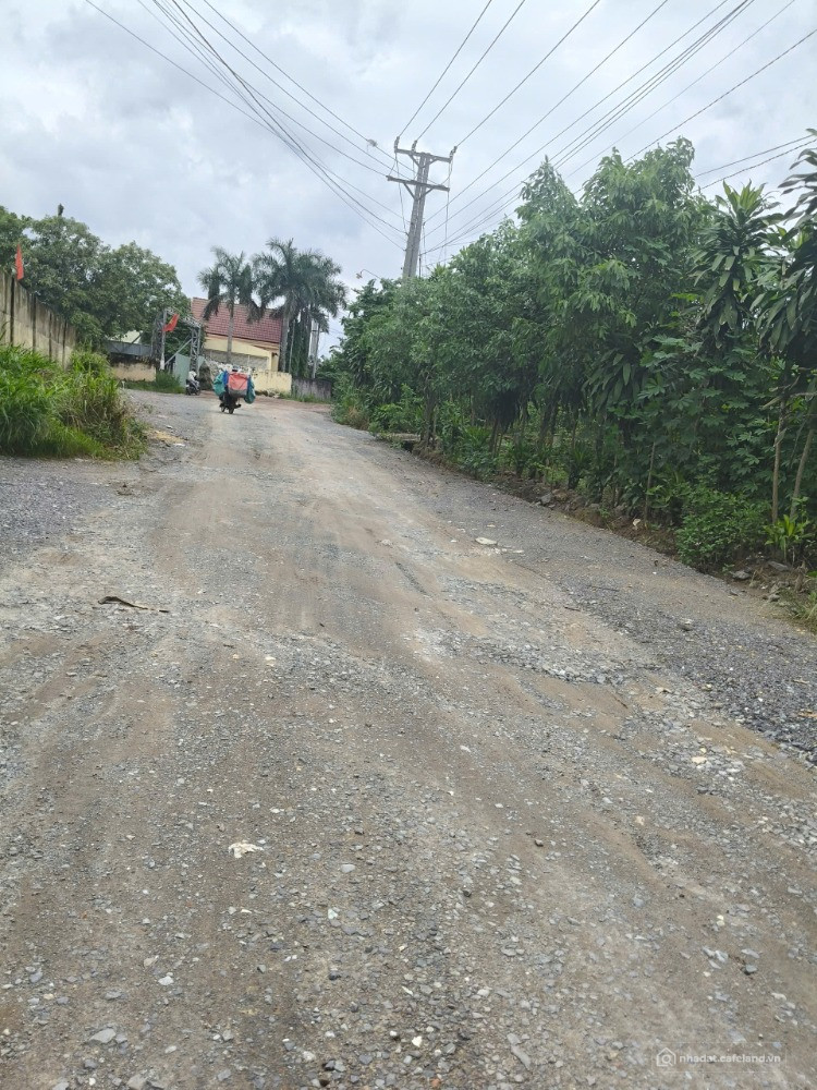 Bán 2,6 sào TMDV Phước Tân ngay Võ Nguyên Giáp, Biên Hòa