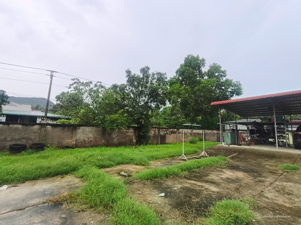 NGỘP BANK BÁN GẤP 1300M2 MT QL55, Bình Thuận