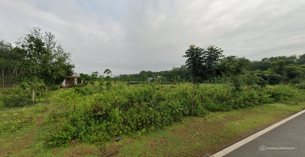 CHÍNH CHỦ BÁN LÔ ĐẤT 1.125m2 – ĐƯỜNG SỐ 7, QUANG MINH, CHƠN THÀNH – CHỈ 890 TR