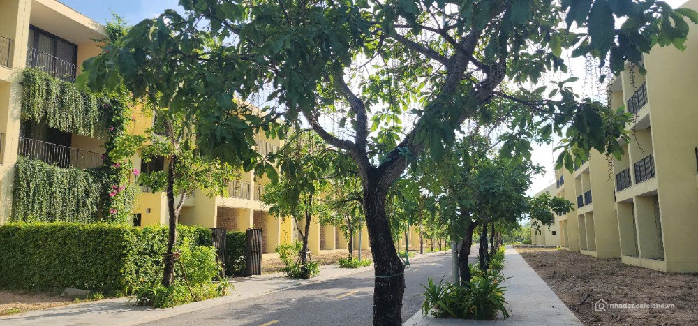 CASAMIA BALANCA HỘI AN – CƠ HỘI ĐẦU TƯ VÀNG TRƯỚC SÓNG SÁP NHẬP HỘI AN – ĐÀ NẴNG