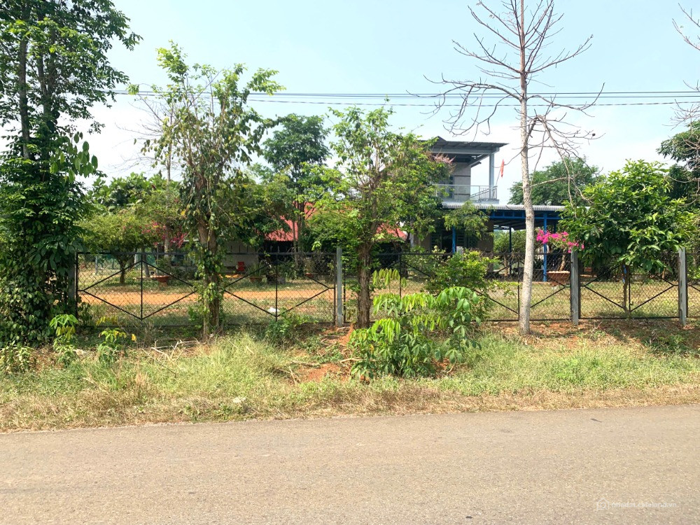 BÁN ĐẤT GIÁ RẺ NGAY ĐT 758 – TÂN HƯNG, HỚN QUẢN, BÌNH PHƯỚC – CHỈ 460 TRIỆU