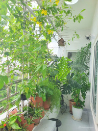 CHÍNH CHỦ BÁN CĂN HỘ GÓC 74M2 – VIEW ĐẸP – FULL NỘI THẤT CAO CẤP – GIÁ SIÊU TỐT!