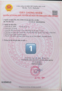Bán đất nền Giáp 3 khu công nghiệp lớn Minh Hưng 3 P Chơn Thành ĐN Mới,
