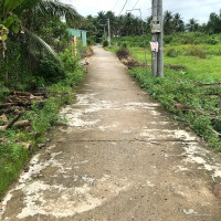 Bán gấp đất sổ đỏ xã Tam Hiệp Châu Thành Tiền Giang
