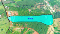 Đất diện tích lớn, giá rẻ, nguồn thu cà phê và tiêu, gần QL28