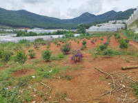 Đất View Đồi LangBiang – Sổ Riêng – 542m² – Giá Đầu Tư Chỉ 2.6 Tỷ