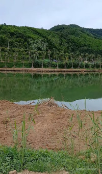 chào bán lô đất viêu sông cu đê siêu đẹp dt 2600