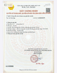 Bán gấp 2 nền ngộp 5x47 có 100m2 thổ cư 350 triệu