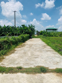 Đất đẹp - giá rẻ 1 lô duy nhất tại xã Diễn Tháp (cũ) Diễn Châu, Nghệ An.