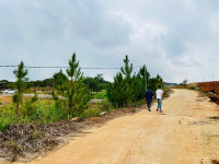 Bán đất Nam Hà 390 triệu, vị trí chính giữa sân bay và Đà Lạt