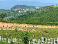 Đất mặt tiền đường nhựa 690 triệu, nằm chính giữa Đà Lạt & Sân bay