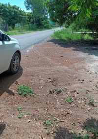 Bán đất tại 1/ ĐT 785, Tân Hưng, Tân Châu, Tây Ninh, 800Đ , 357 m2, giá tốt