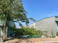 Bán gấp đất,120m2/550tr, hẻm 135 Đồng Văn Cống, An Thới, Bình Thủy, Cần Thơ, SHR