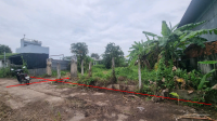 Bán đất Xuân Thới Sơn, Hóc Môn | Giá chỉ 11 triệu/m² | 622m² có 300m² thổ cư