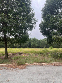 BÁN NHANH 2 LÔ ĐẤT TÁI ĐỊNH CƯ BECAMEX BÀU BÀNG, BÌNH DƯƠNG