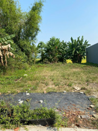 Cần Bán Gấp – Lô Đất Vườn Gần Đình Làng Yến Nê, Diện Tích 300m² – Thích Hợp Làm