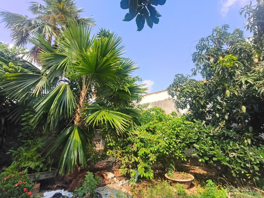 Chủ cần bán lô đất đẹp gần quốc lộ rộng 15m. diện tích 10x16m. thành phố Tân An