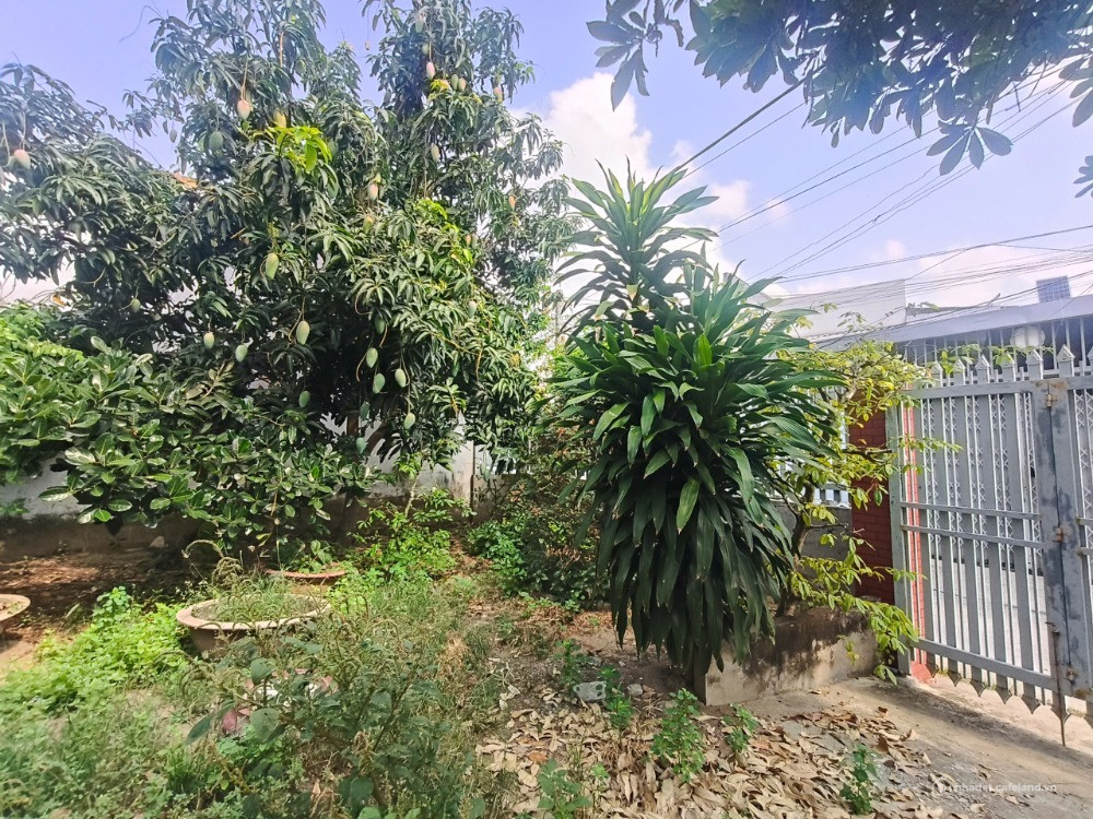 Chủ cần bán lô đất đẹp gần quốc lộ rộng 15m. diện tích 10x16m. thành phố Tân An