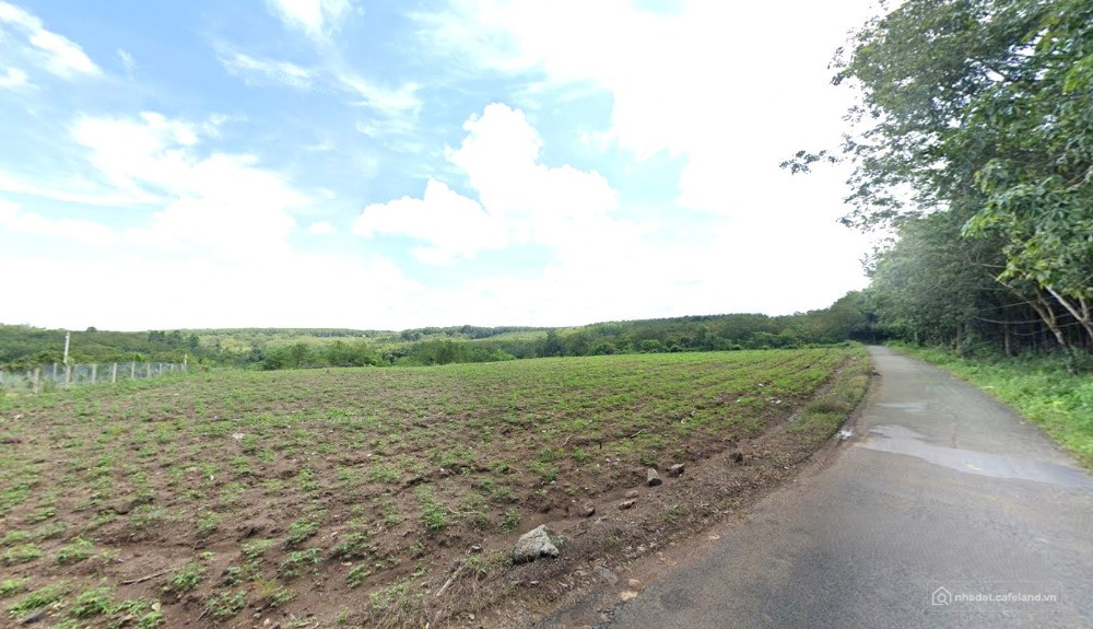 Bán Gấp 5.600m² Đất Nha Bích Chơn Thành, Chính Chủ, Giá 170tr/Sào