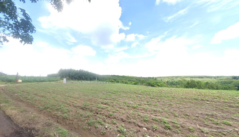 Chính Chủ Cần Bán 5.600m²Đất Đẹp Nha Bích Chơn Thành, 170tr/Sào