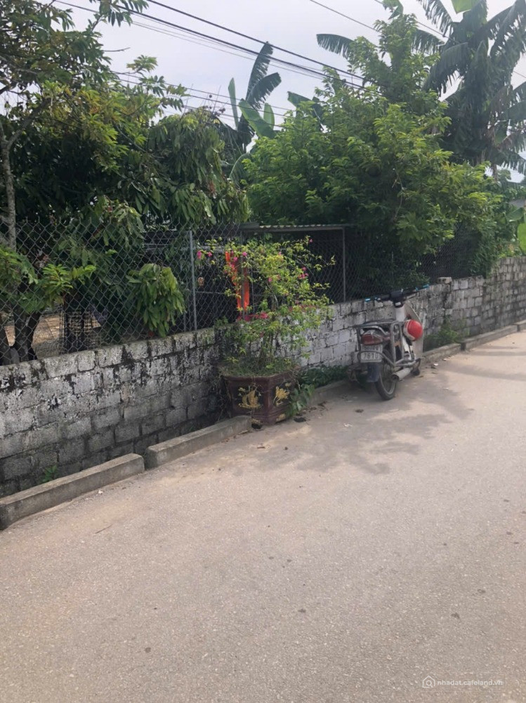 BÁN ĐẤT TIÊN TRANG, MẶT TIỀN 10M, CHỈ 1 TỶ