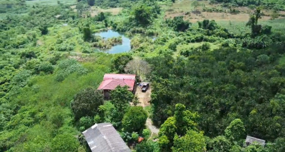 BÁN 12HA ĐẤT THỔ CƯ , CÂY LÂU NĂM , RSX . BẮC TÚ SƠN , KIM BÔI ,PHÚ THỌ .