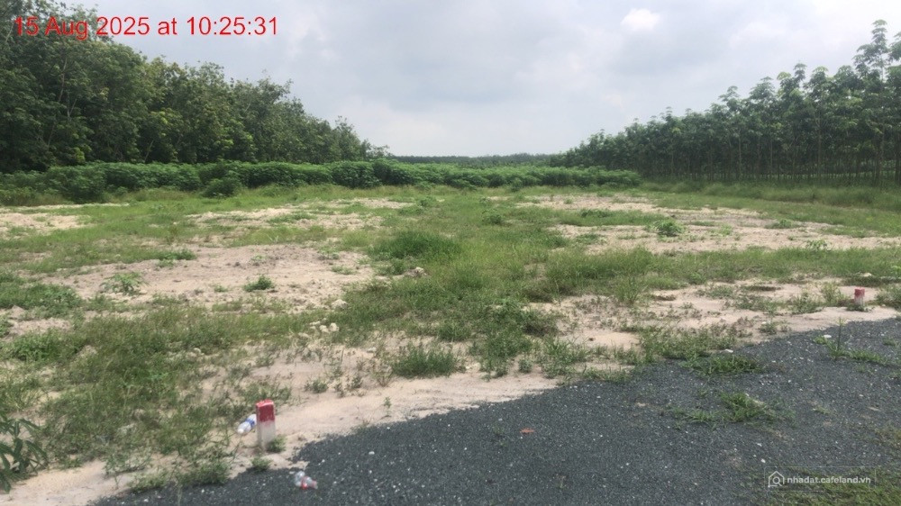 Đất thổ cư chính chủ f0 chưa qua đầu tư