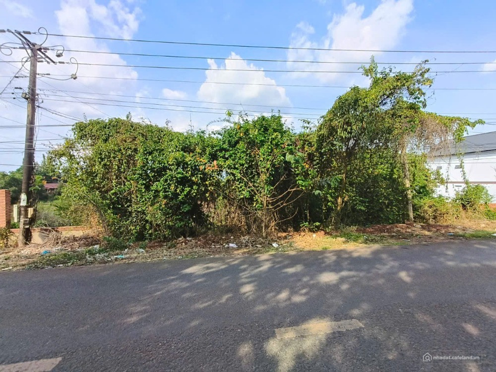 Bán hơn 1 mẫu đất Phú Cường, Định Quán, Đồng Nai
