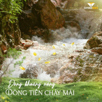 Cần bán Biệt Thự  Bất Động Sản tái tạo  - Khoáng nóng độc tôn tại Gia Lai