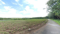 Bán Gấp 5.600m² Đất Nha Bích Chơn Thành, Chính Chủ, Giá 170tr/Sào