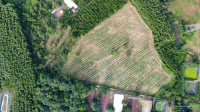 Cơ hội đầu tư và phát triển nông nghiệp đất đẹp Xuân Thọ, Xuân Lộc - giá rẻ chỉ