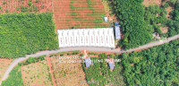 Bán Đất mặt tiền đường Long Hà - Bình Phước