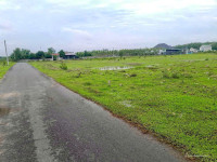 CẦN TIỀN BÁN 3 SÀO 2 (3200M2) ĐẤT THỔ CƯ NẰM NGAY KCN ĐANG H.ĐỘNG. GIÁ 170TR