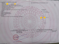 Cần Bán Gấp 181m2 Đất Thổ Cư Đường Ấp 3 xã Long An, Cần Giuộc