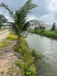 Chính chủ gửi bán lô đất ở ngay trung tâm thị trấn Đức Hoà 125m2 giá 1ty2