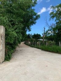 ĐẤT PHÂN LÔ FO GIÁ ĐẦU TƯ TẠI KHU DÂN CƯ DẠ LÊ, TP HUẾ. Bất động sản huế