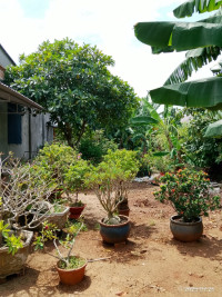 Tôi cần bán lô đất của mình rộng 390m2 gần biển và khu hành chính giá hữu nghị.