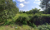 BÁN ĐẤT 2.450m² – 200m² THỔ CƯ – Tân Hưng, Bình Phước – GIÁ RẺ 250TR