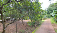 BÁN GẤP 5.000m² – SỔ HỒNG RIÊNG, THỔ CƯ, NGAY TRUNG TÂM – GIÁ CHỈ 210tr