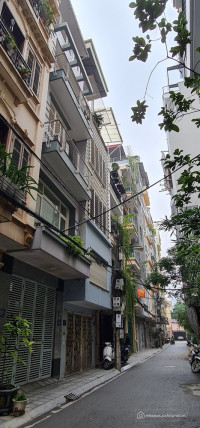 Phân lô phố Vĩnh Phúc, Ba Đình. Vỉa hè ô tô đỗ, Kinh Doanh, Ở sướng. 68m- Mt 4m7