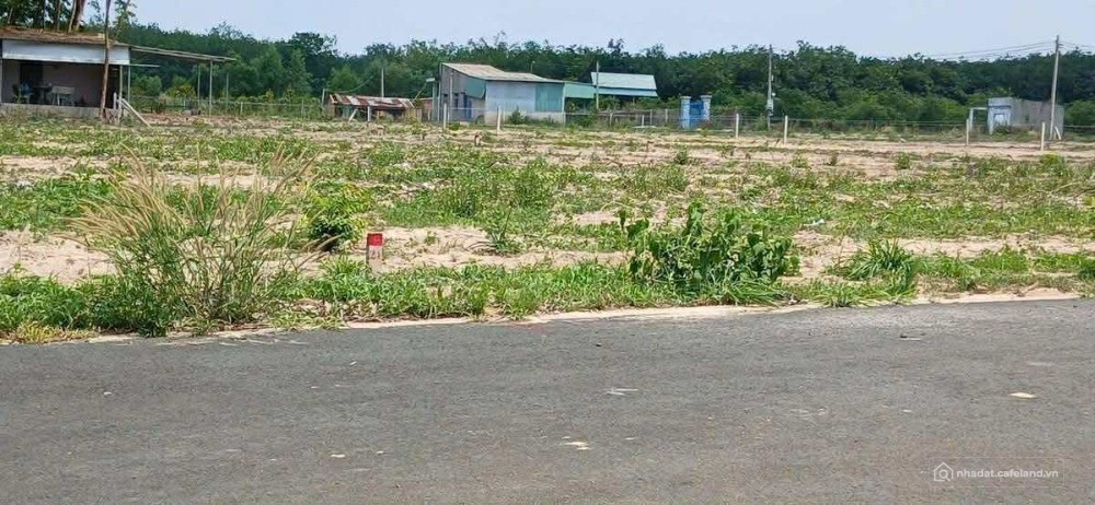chính chủ bán gấp đất mặt tiền đường nhựa giá cực rẻ