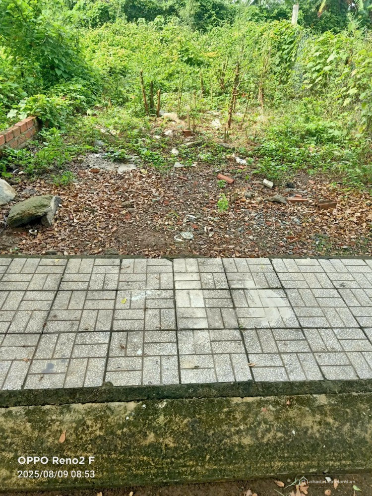 Đất nền sổ riêng thổ cư  phường tân triều