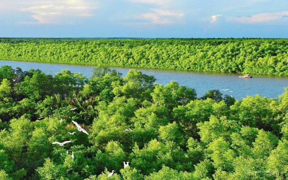 Vinhomes Green Paradise Cần Giờ ESG