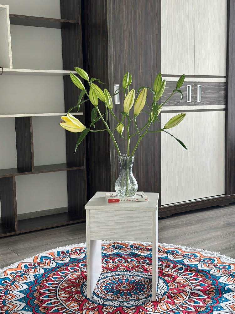 500k ngày, đậm chất riêng tư, 55m2 1PN 1WC, tự do sáng tạo.